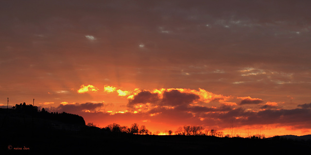 Ciel  de miels