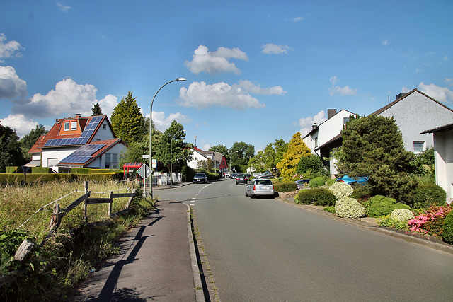 Strickherdicker Weg (Fröndenberg-Strickherdicke) / 11.06.2022