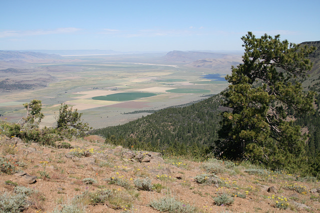 From the Abert Rim--