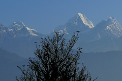 Ganesh Himal Népal