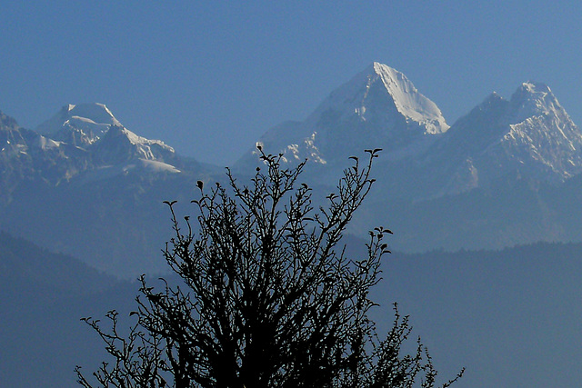 Ganesh Himal Népal