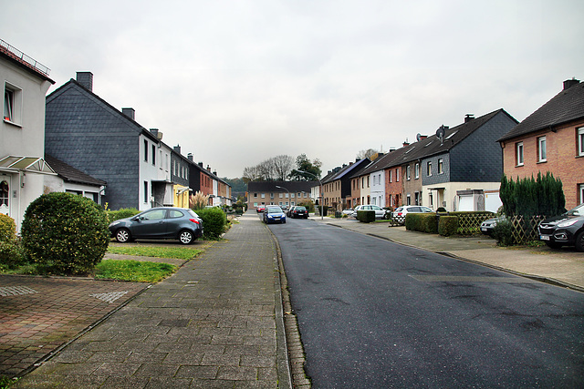 Imbuschstraße (Waltrop) / 2.11.2017