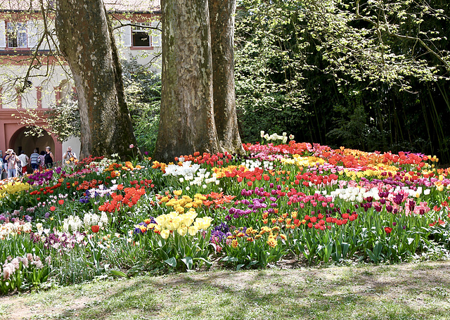 Insel Mainau