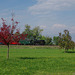 BÖ0013587