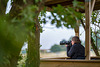 Bird watching