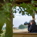 Bird watching