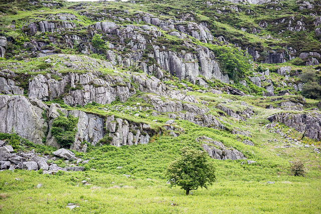 Snowdonia landscape8jpg