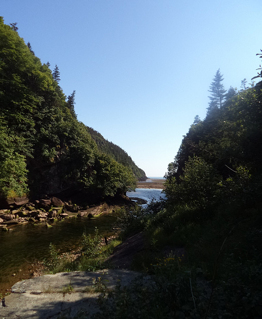 Nature avec la mer au loin....