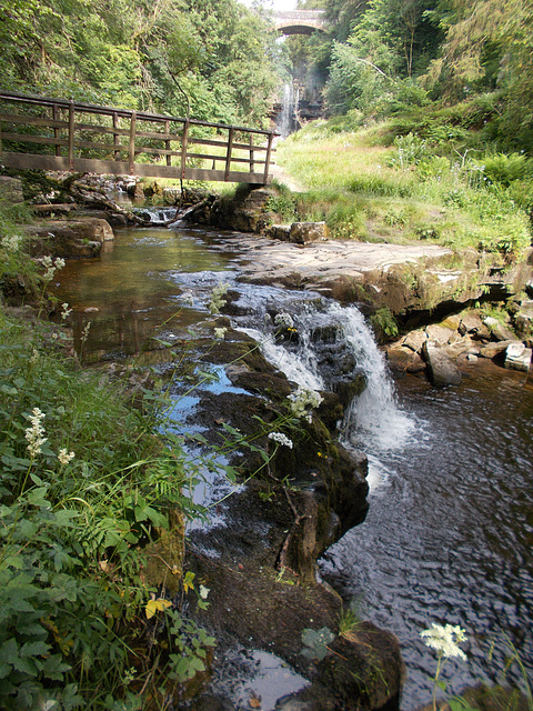 waf - lower cascade {3 of 3}