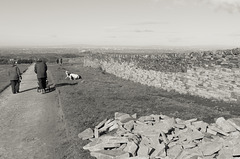 Renovated dry stone walls at Lyme Park