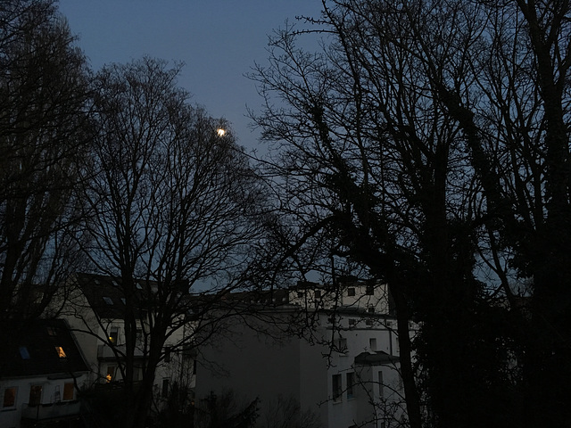 mond 3439