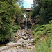 waf[25] - Ash Gill Force