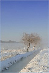 # 12 - Magic Snow Scenery...