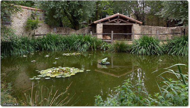 LE PUY du FOU