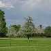 BÖ0010617