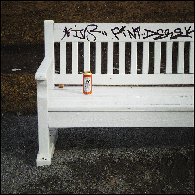 #31 A park bench