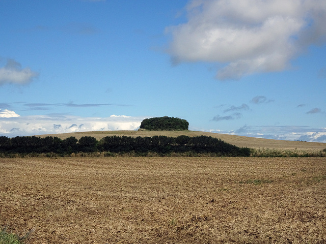 Landscape north of France.