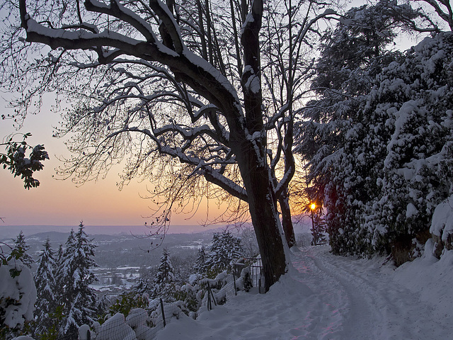 Magic atmospheres of winter in the Burcina Park, Biella