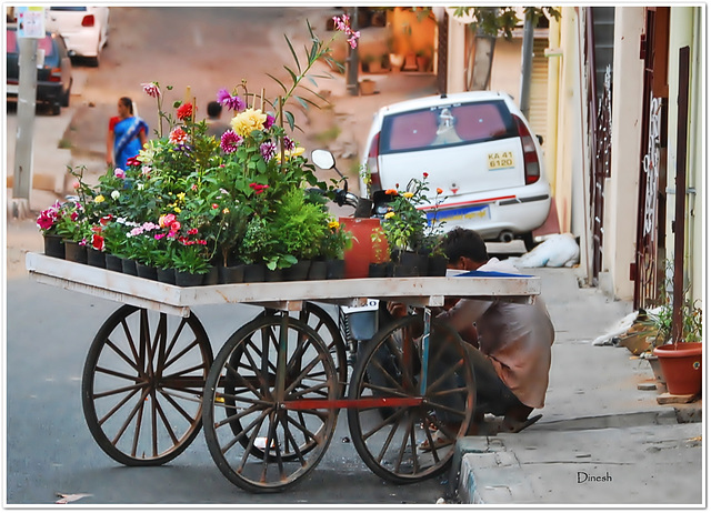 Flowers on Wheels