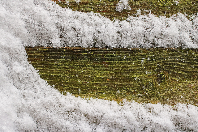 Snow on Fence Panel