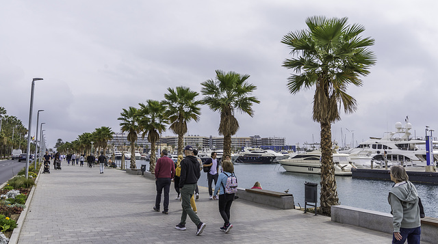 Paseo de los Mártires de la Libertad (© Buelipix)