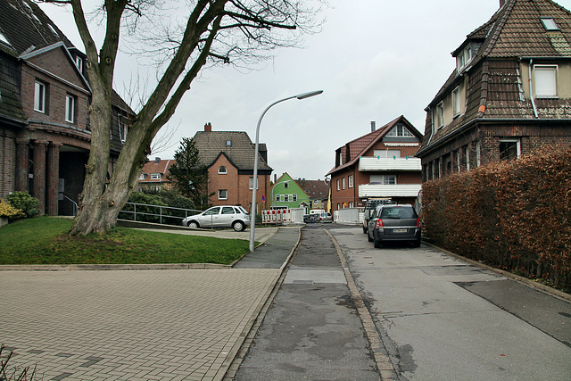 Brückenstraße (Siedlung Beisenkamp, Datteln) / 5.01.2018