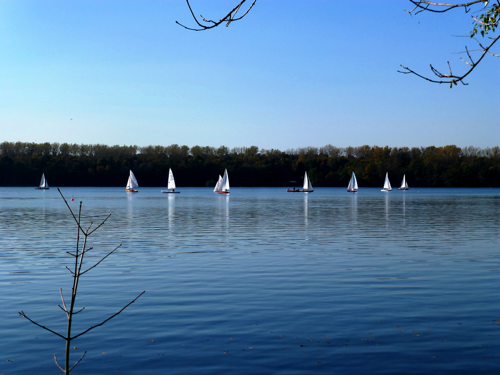 DE - Erftstadt - Liblarer See