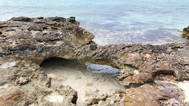 2019.03: TCI: North Caicos