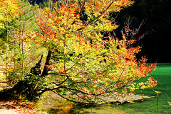 Herbst am Alatsee. ©UdoSm