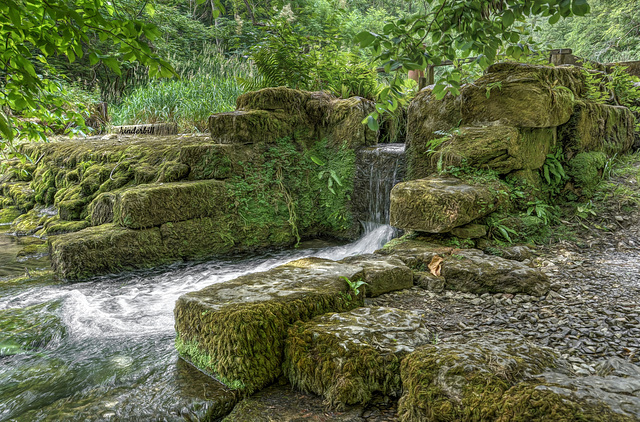 Lathkill Dale   /   July 2018