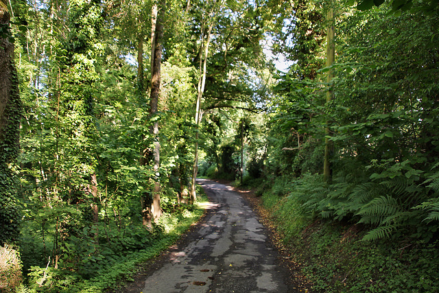 Kuhstraße (Fröndenberg-Strickherdicke) / 11.06.2022