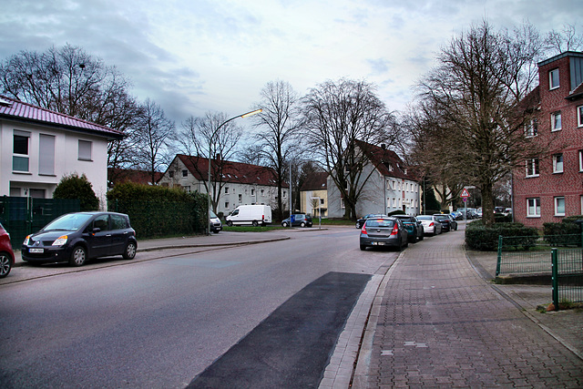 Johannastraße (Gelsenkirchen-Horst) / 2.03.2024