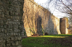 bishops palace, llandaff, cardiff