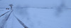 DSCF3101