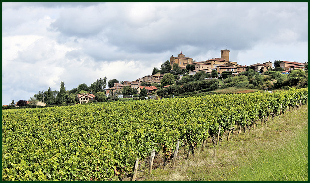 Oingt (69) 20 août 2014. En Beaujolais.