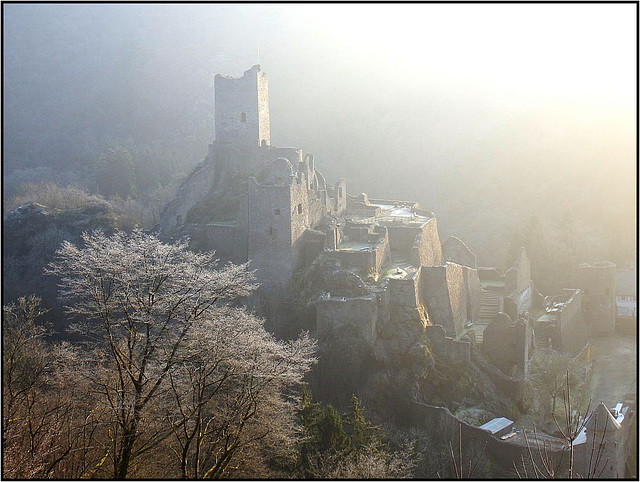 Burg Manderscheid, Manderscheid 003