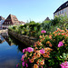 FR - Wissembourg - The Lauter and Maison du Sel