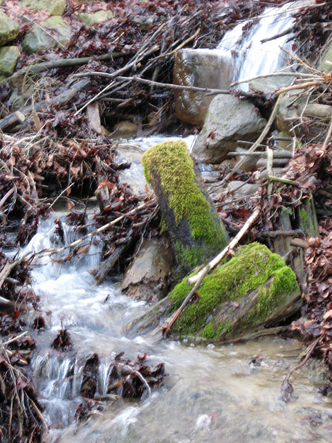 Wanderung am Gäblerbach/Bern