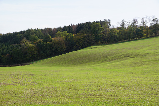 Der "Nüll" im Sonnenschein