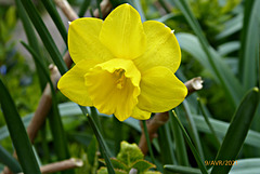 retour au jardin retour au jardin