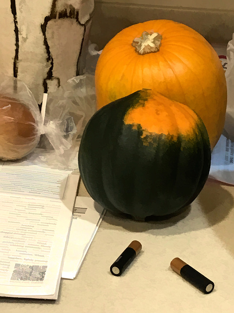 still life with squash, pumpkin, and batteries