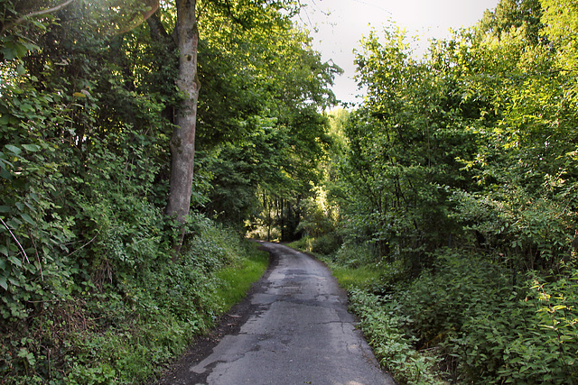 Kuhstraße (Fröndenberg-Strickherdicke) / 11.06.2022