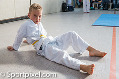 kj-karate-978 15182963393 o