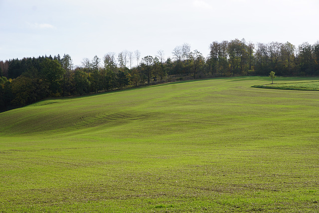 Bodenwelle am "Nüll"