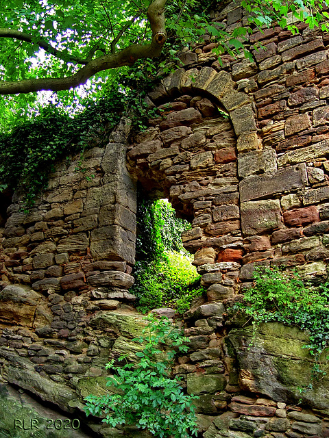 Wieder Durchblick schaffen! (Burgruine Hardenberg)