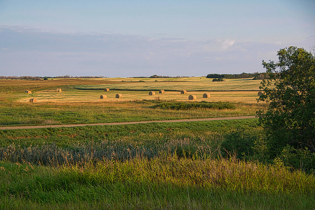 round bales at golden hour