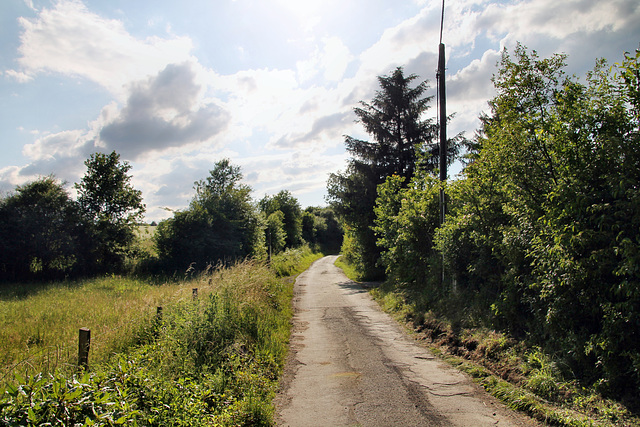 Kuhstraße (Fröndenberg-Strickherdicke) / 11.06.2022