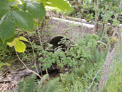 waf[25]/bri[25] - Crossgill bridge