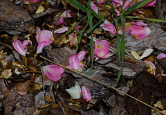 KR609418©IngoKrehl KR609418©IngoKrehl