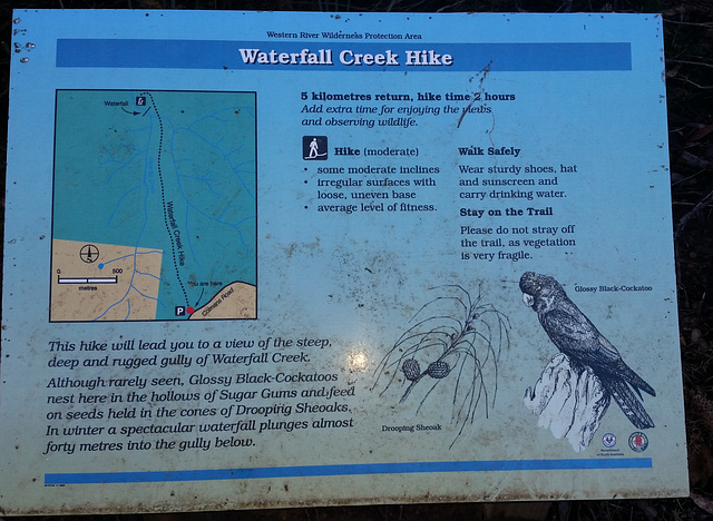 Waterfall Creek hike